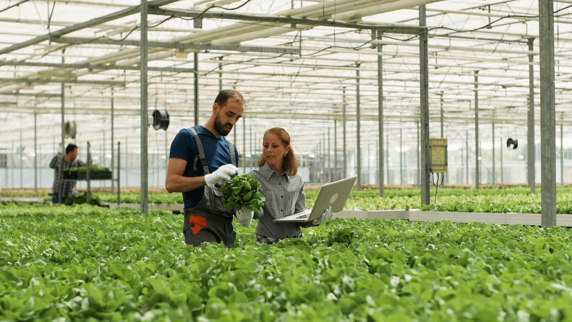 UrbanFarm Agritech Image