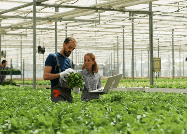 UrbanFarm Agritech
