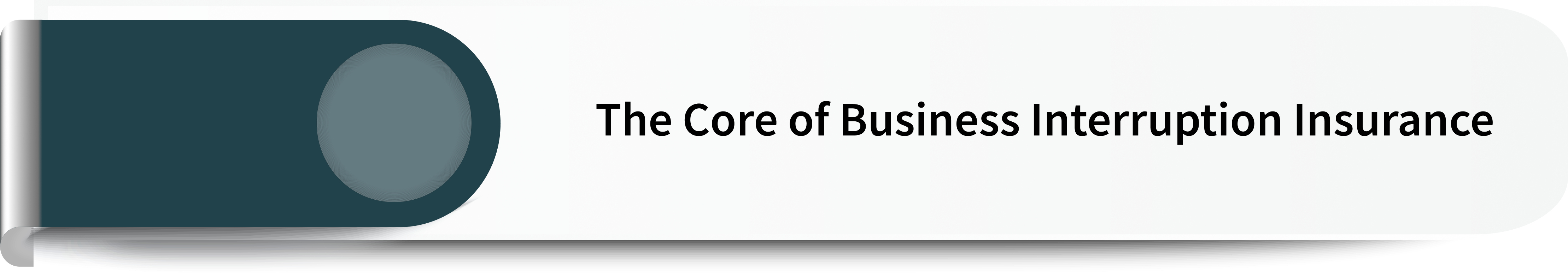 Business Interruption
